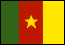 Bandiera Camerun